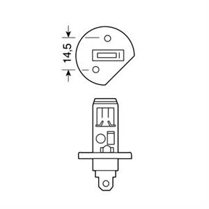 688-lampes-xenonlamps/33851-h1-henon-plasma-30-12v100w-3600k-625mm-2-temahia.jpg